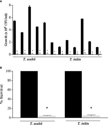 Trichosporon asahii and Trichosporon inkin Biofilms Produce Antifungal-Tolerant Persister Cells